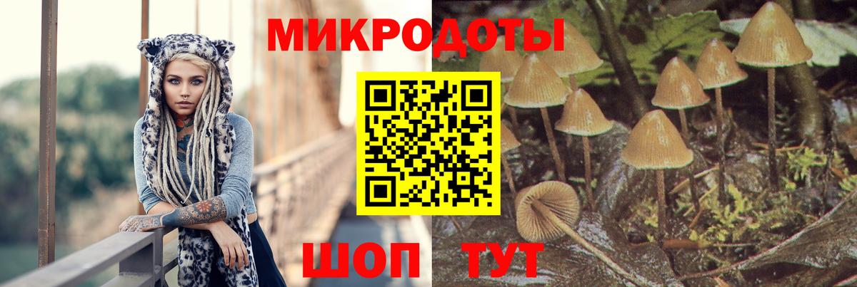 Псилоцибиновые грибы MAGIC MUSHROOMS  Псилоцибиновые грибы прущие грибы  Вход с VPN  Среднеуральск 