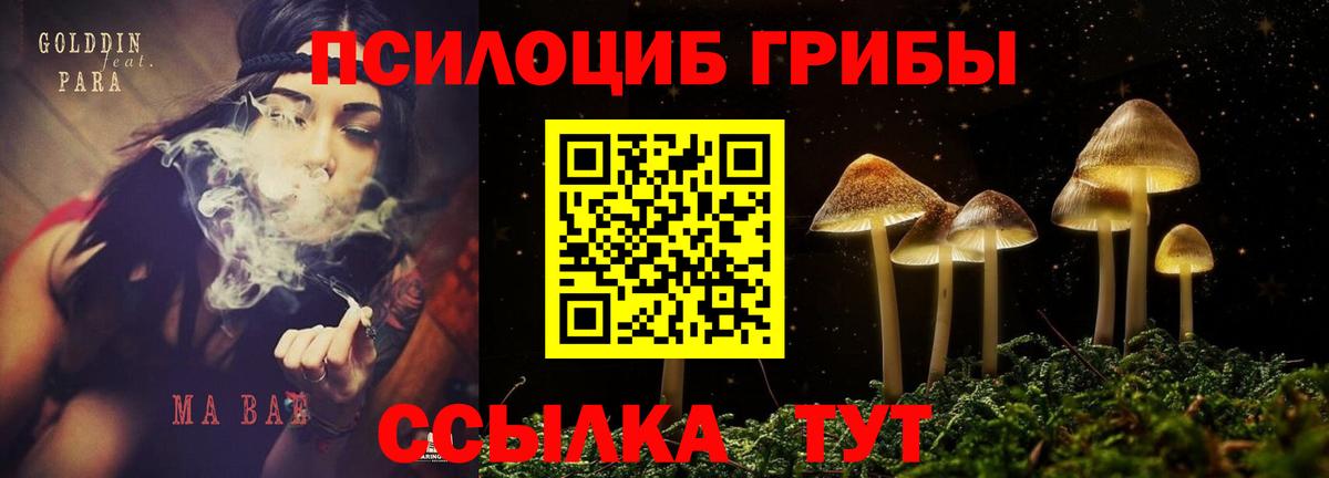 Псилоцибиновые грибы мицелий Среднеуральск